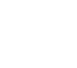 Distum - Anzures